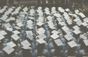 The higher education reform